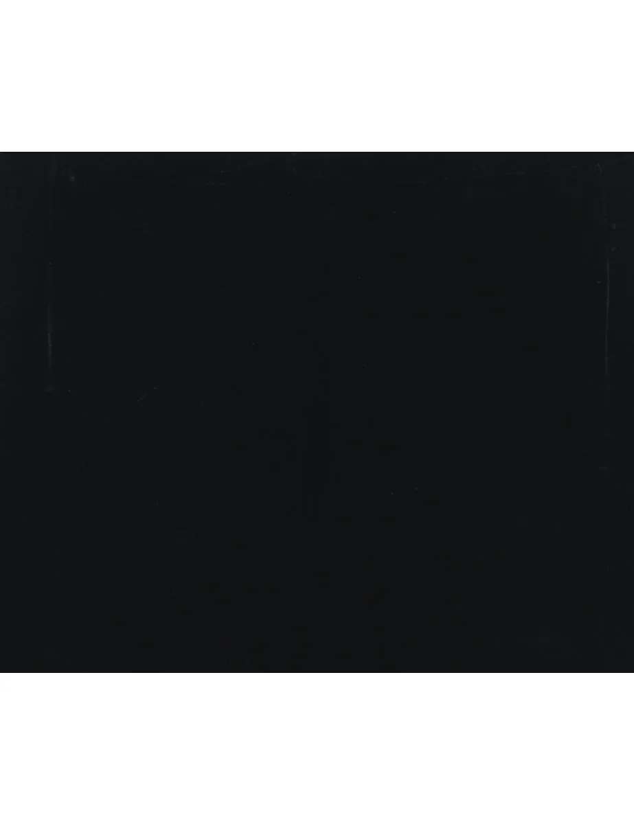 Black Flared Leg Sequins Velvet Trousers - W32 L32